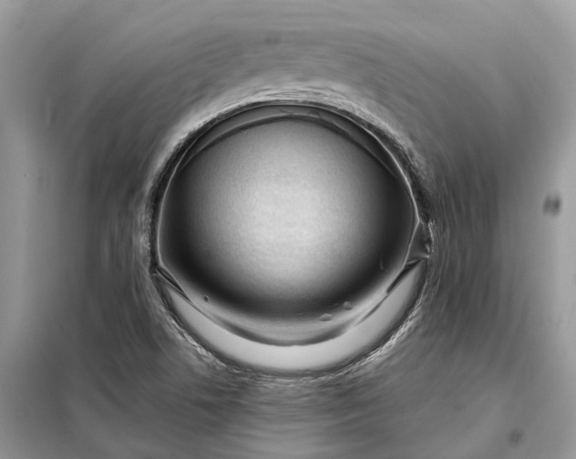 X0000098211506200805081123