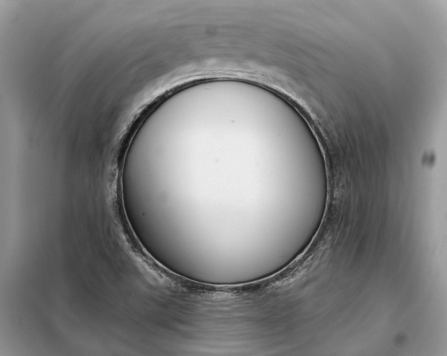 X0000098211507200805081123