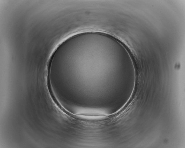 X0000098211508200805081123