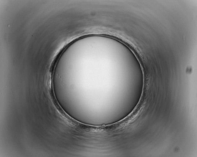 X0000098211509200805081123