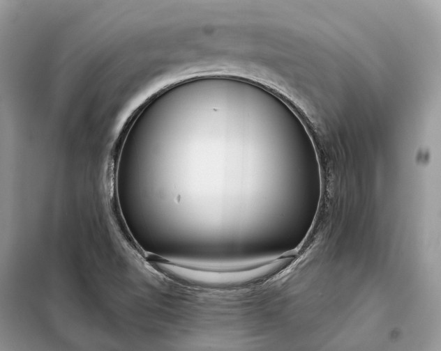 X0000098211510200805081123