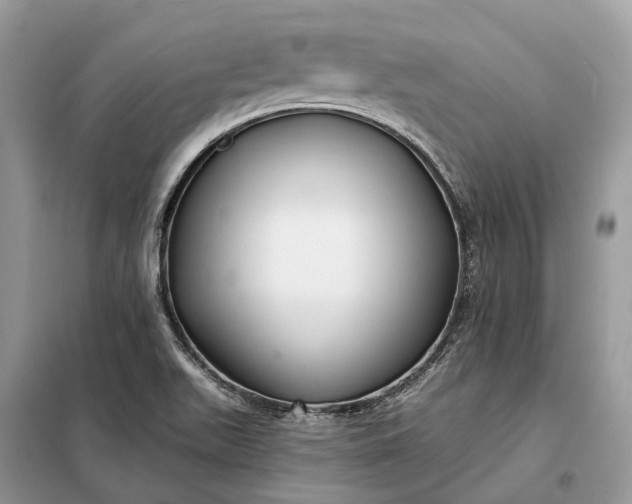 X0000098211511200805081123