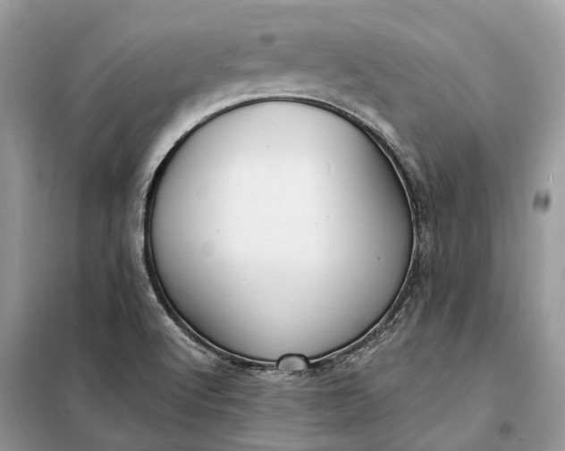 X0000098211512200805081123