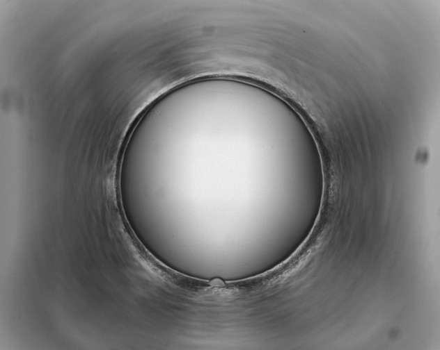 X0000098211513200805081123