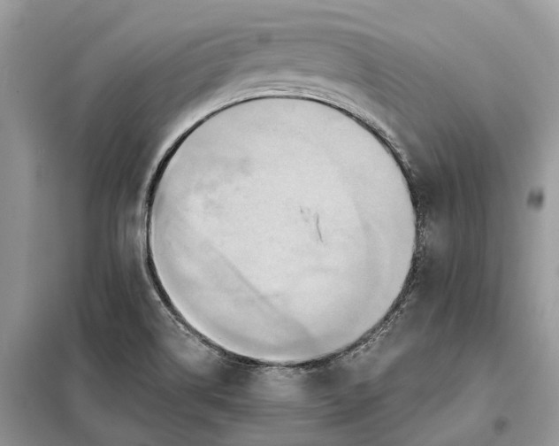 X0000098211514200805081123