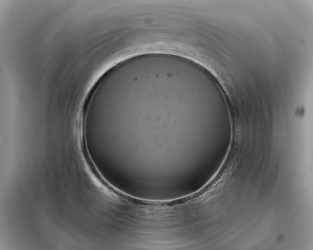 X0000098211515200805081123