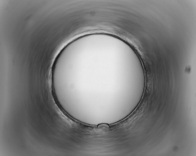 X0000098211516200805081123