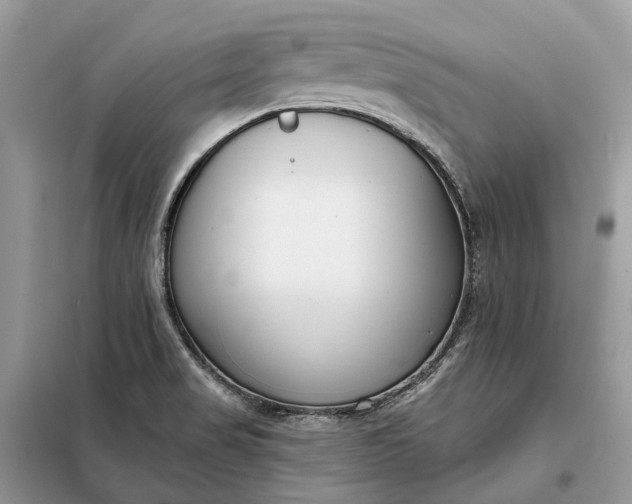 X0000098211517200805081123