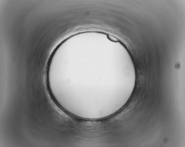 X0000098211518200805081123