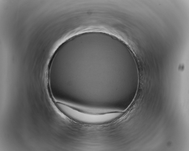 X0000098211519200805081123