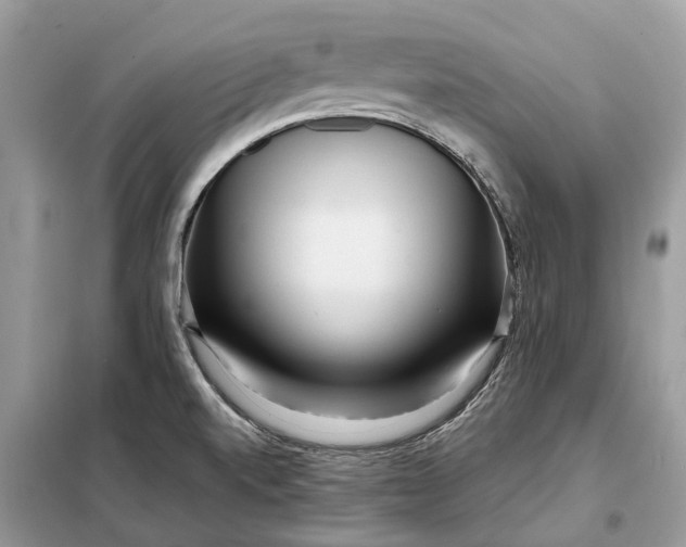X0000098211520200805081123