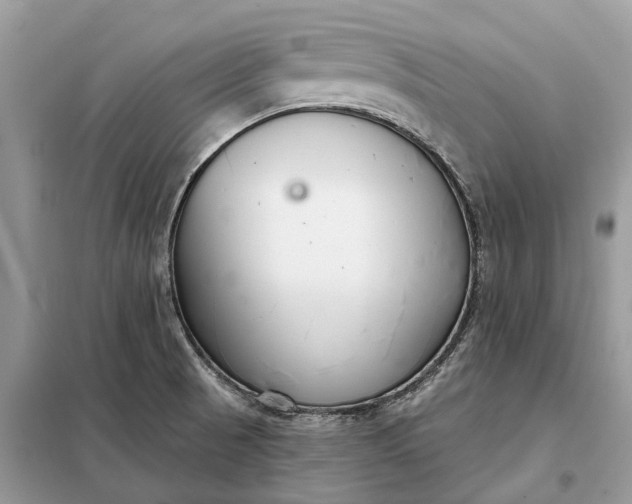 X0000098211521200805081123