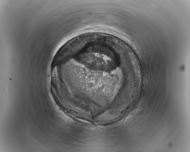 X0000098211522200805081123