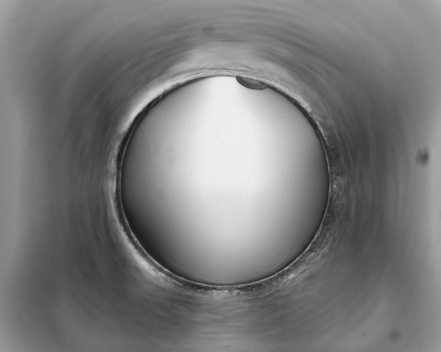 X0000098211523200805081123