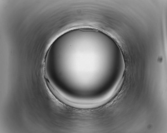 X0000098211524200805081123