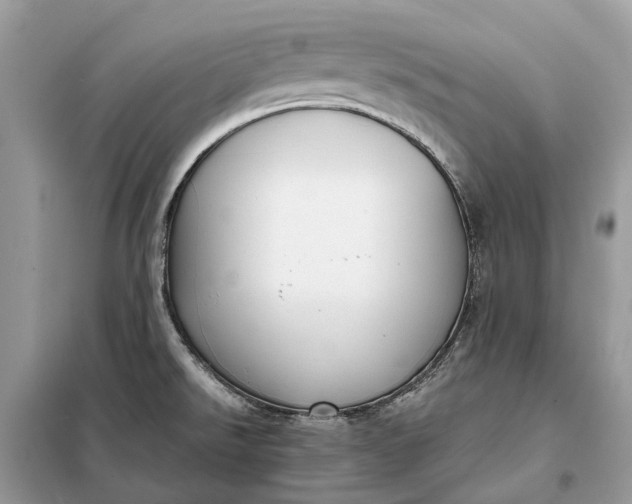 X0000098211526200805081123