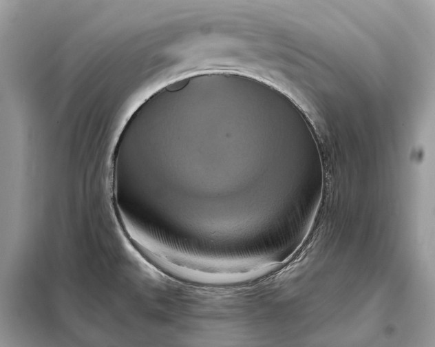 X0000098211527200805081123