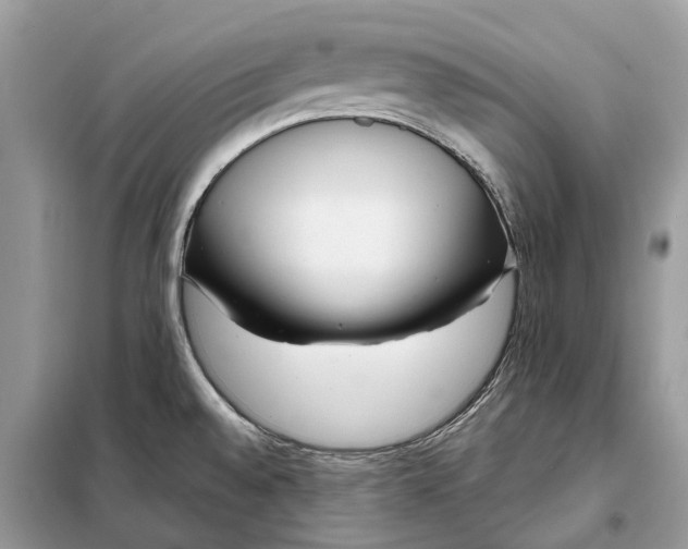 X0000098211528200805081123