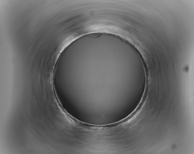 X0000098211529200805081123