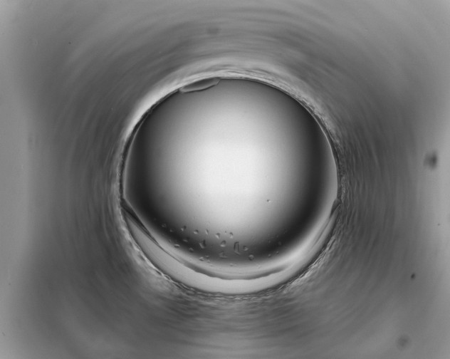 X0000098211530200805081123