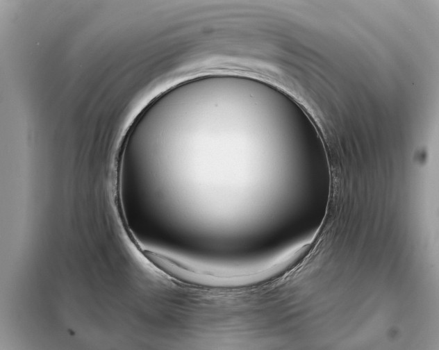 X0000098211531200805081123