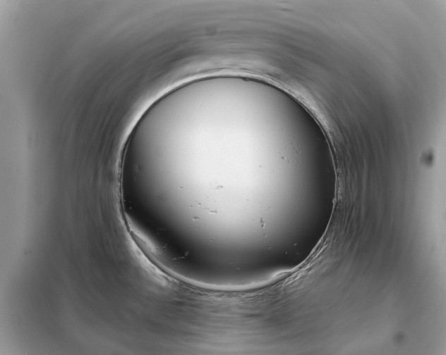 X0000098211532200805081123