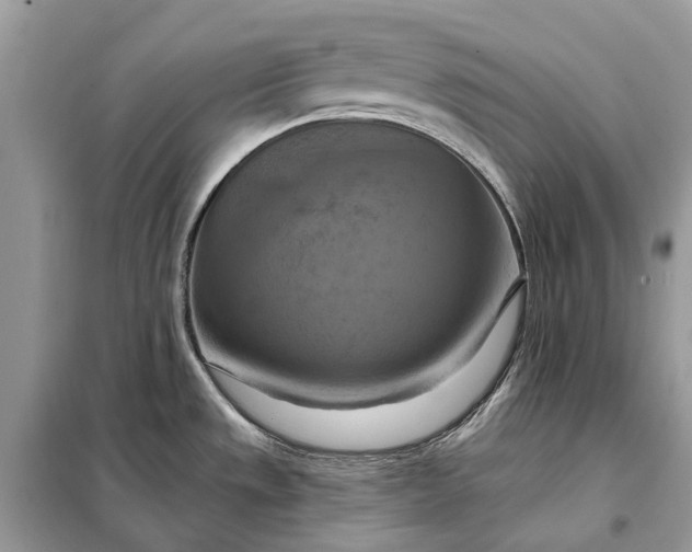 X0000098211533200805081123