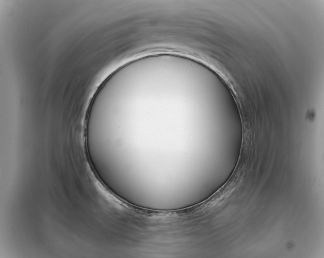 X0000098211535200805081123