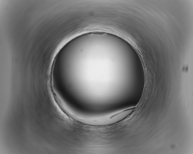 X0000098211536200805081123