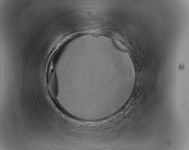 X0000098210002200805151304