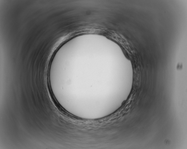 X0000098210003200805151304