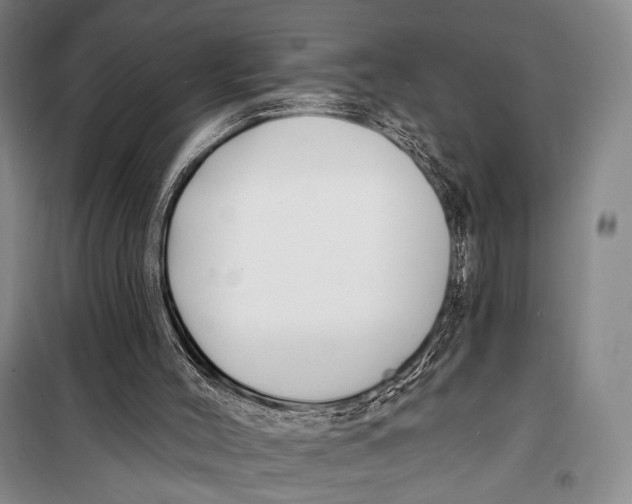 X0000098210004200805151304