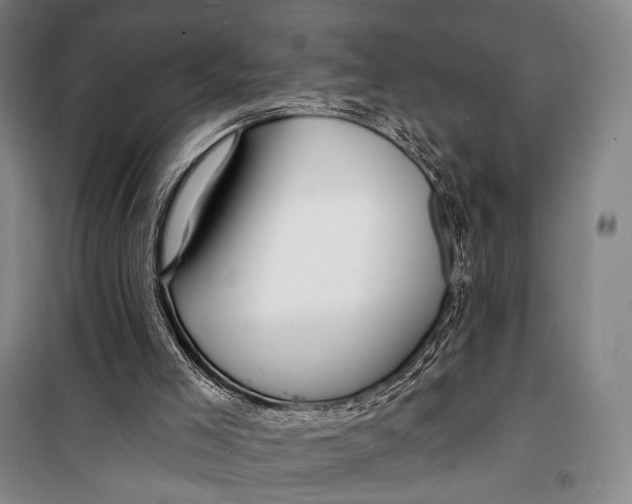 X0000098210005200805151304