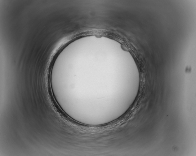 X0000098210006200805151304