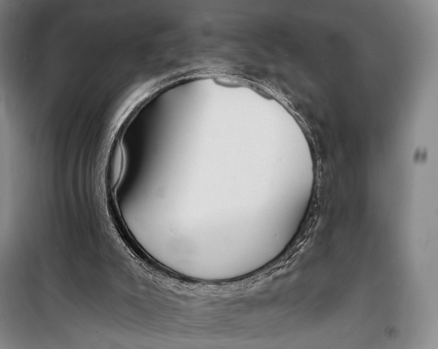 X0000098210007200805151304