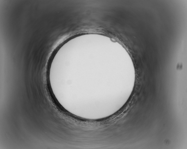 X0000098210008200805151304