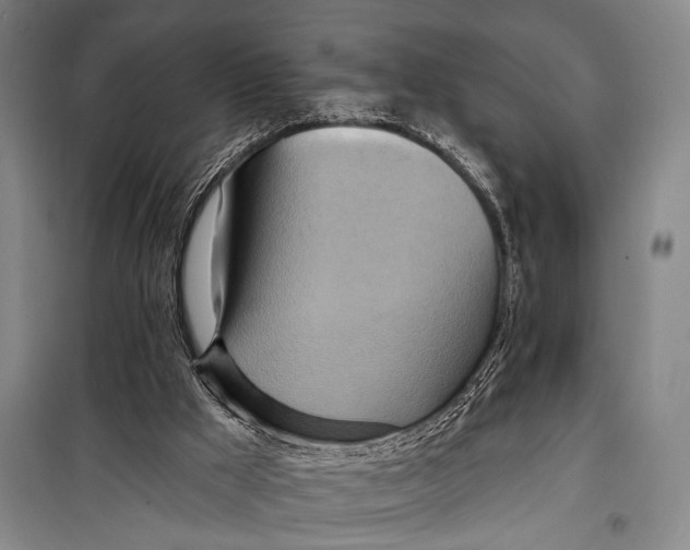 X0000098210009200805151304