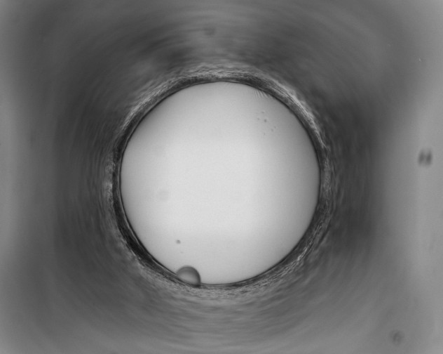 X0000098210010200805151304