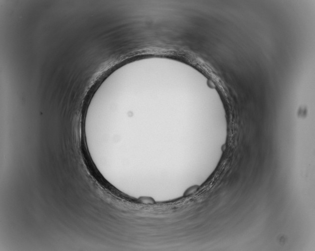 X0000098210011200805151304