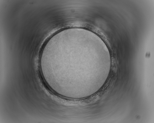 X0000098210012200805151304