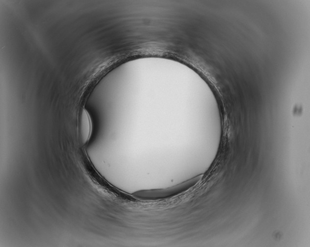 X0000098210013200805151304