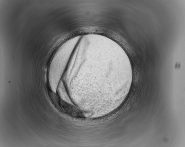 X0000098210014200805151304