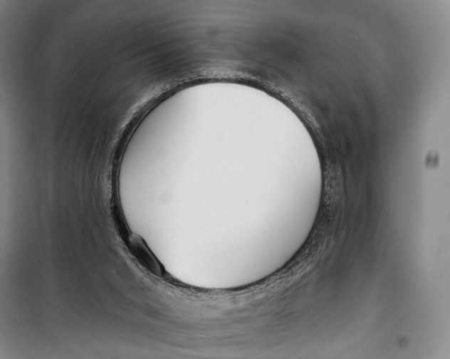 X0000098210015200805151304
