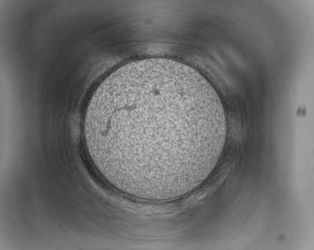 X0000098210016200805151304