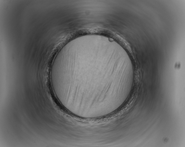 X0000098210018200805151304