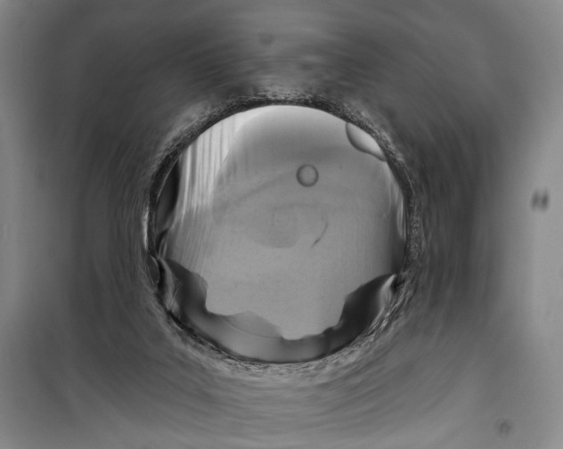 X0000098210019200805151304