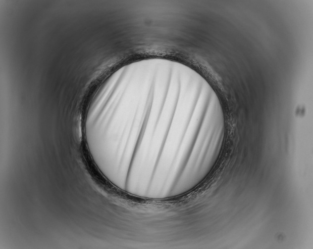 X0000098210020200805151304