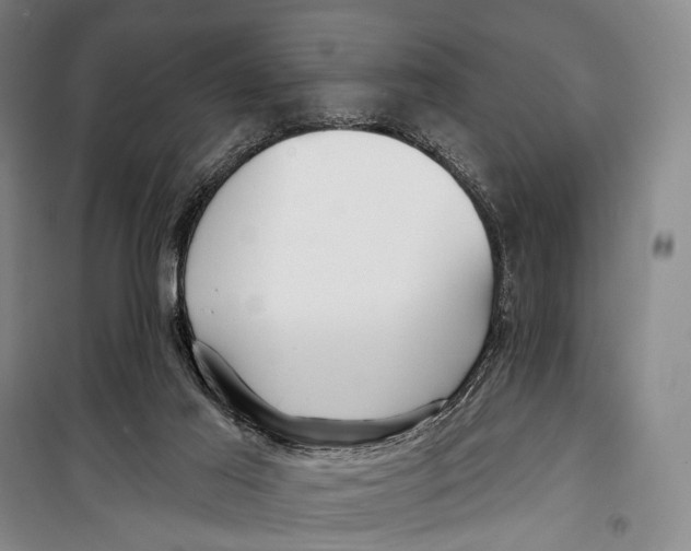 X0000098210021200805151304