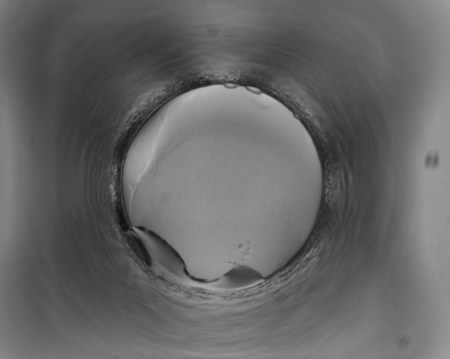 X0000098210023200805151304