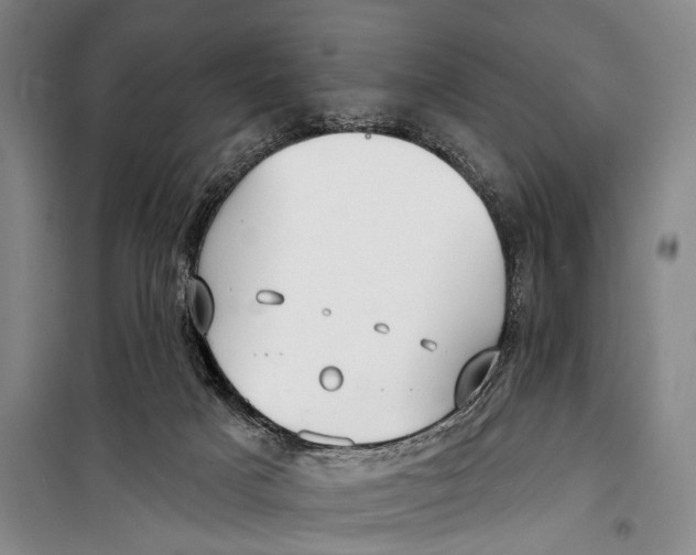X0000098210025200805151304
